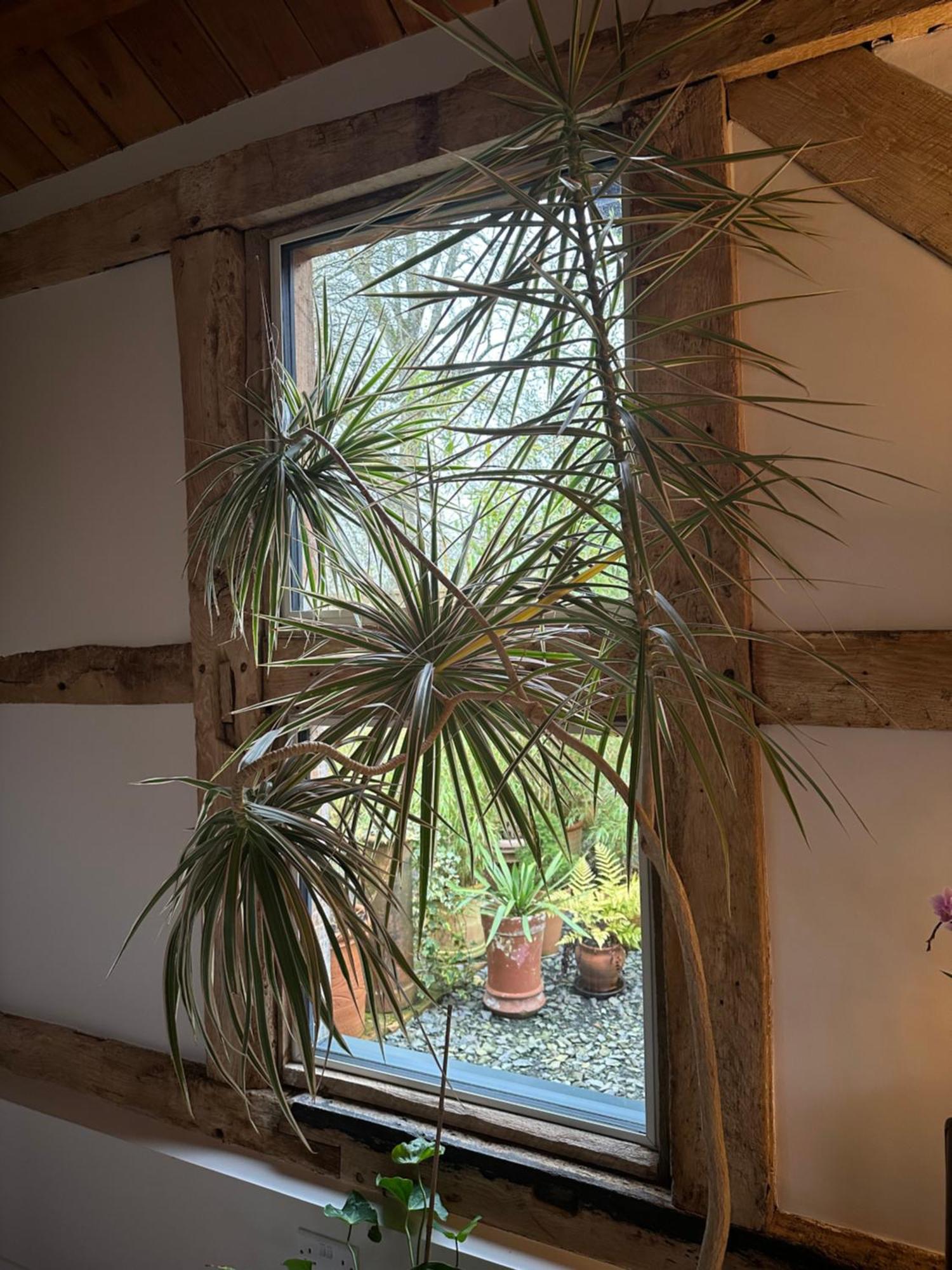 The Barn Villa Romsey Exterior photo